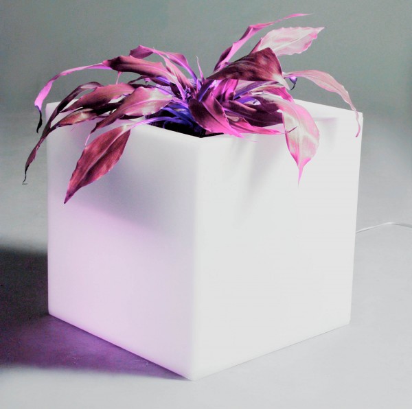 Q POT - eckiges Pflanzgefäß