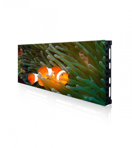 Future Out Transp. P50 - LED Videowand