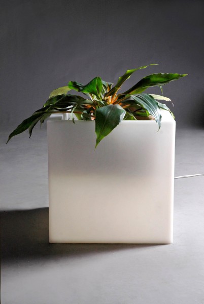 Q POT - eckiges Pflanzgefäß