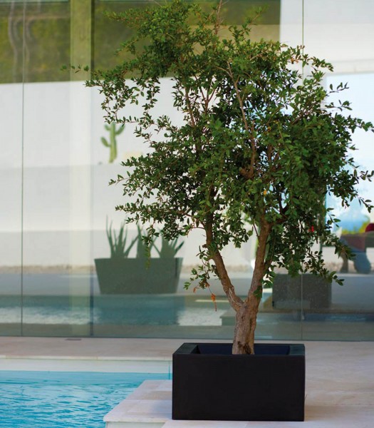 LAND - Pflanzgefäß