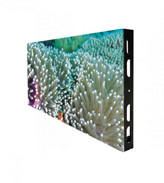 Future Out Transp. P30 - LED Videowand