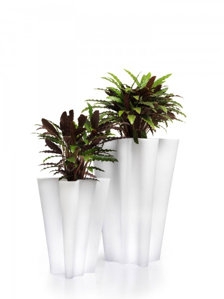 BYE BYE - Pflanzgefäß