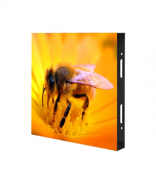 Shine Out P10,4 - LED Videowand