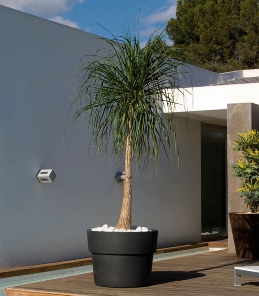 VASO - Pflanzgefäß