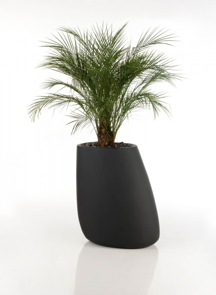 STONE - Pflanzgefäß