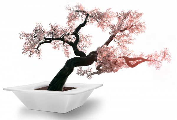 BENCH POT - Pflanzgefäß